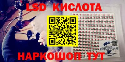 ECSTASY Обь